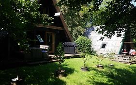 Haus 114 - Nurdachhaus -